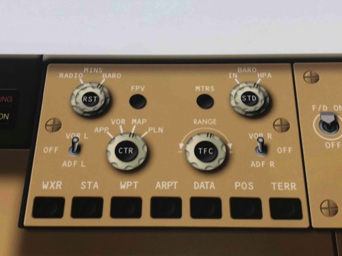 Laminated Cockpit Training Poster EFIS